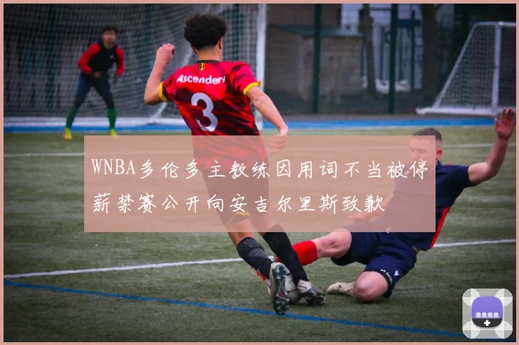 WNBA多伦多主教练因用词不当被停薪禁赛公开向安吉尔里斯致歉