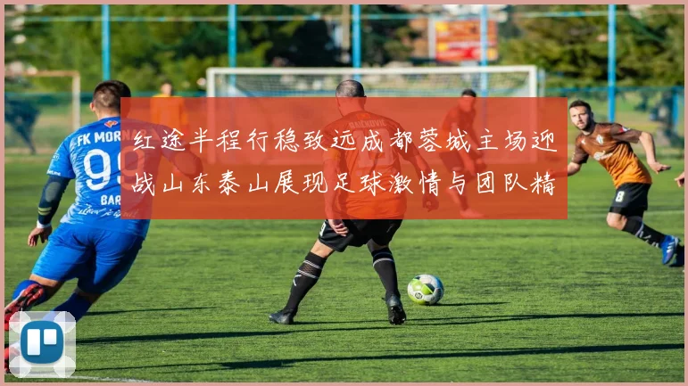 红途半程行稳致远成都蓉城主场迎战山东泰山展现足球激情与团队精神