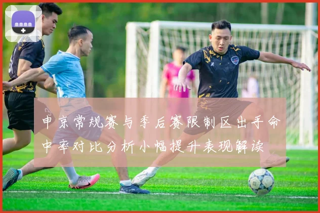 申京常规赛与季后赛限制区出手命中率对比分析小幅提升表现解读